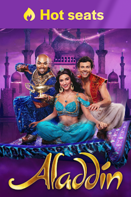 Aladdin product image