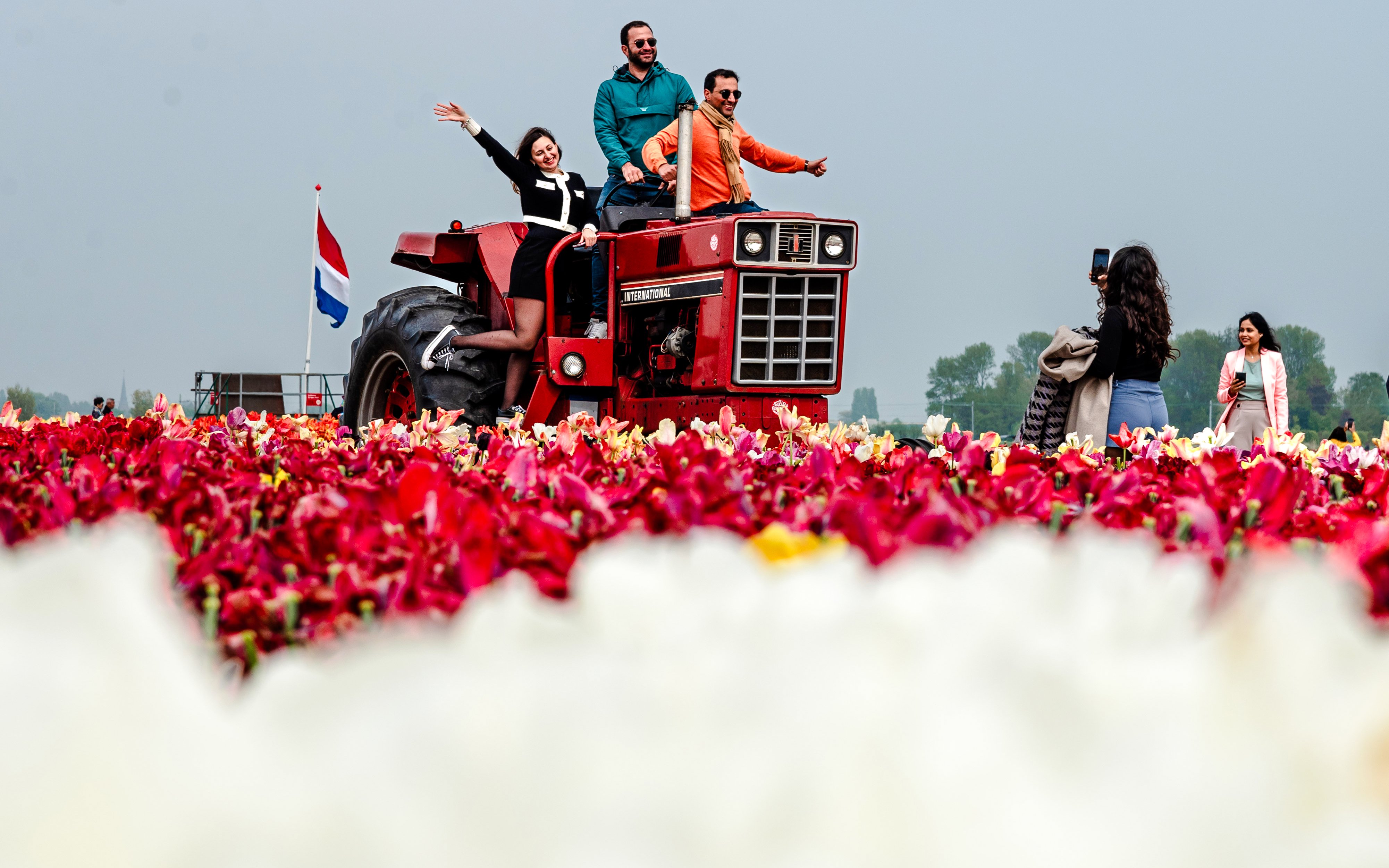Guests on a tractor at Tulip Experience & Dutch Tulip Fields Tour, Keukenhof.