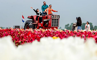 Guests on a tractor at Tulip Experience & Dutch Tulip Fields Tour, Keukenhof.