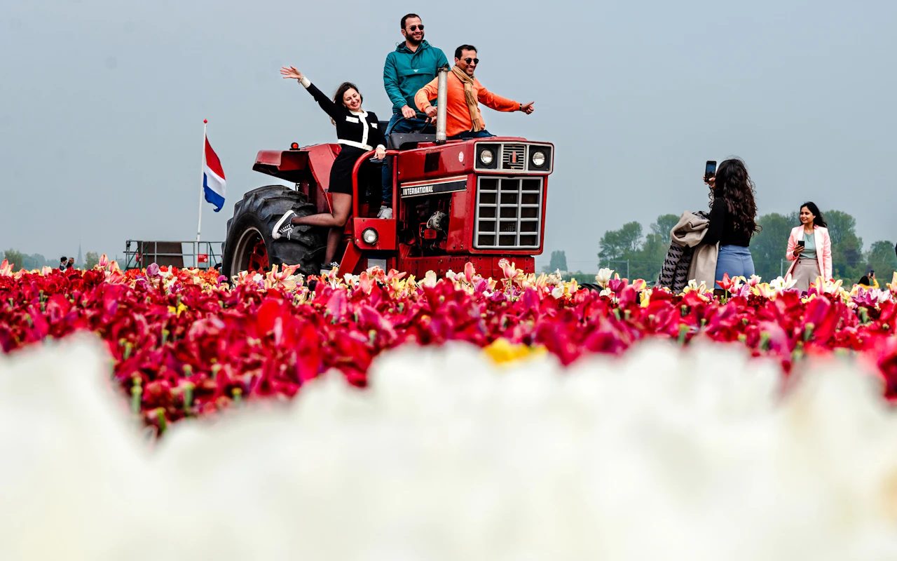 Tulip Experience Tickets mit Besuch der Tulpenfelder und optionalem Transfer ab Amsterdam — 8