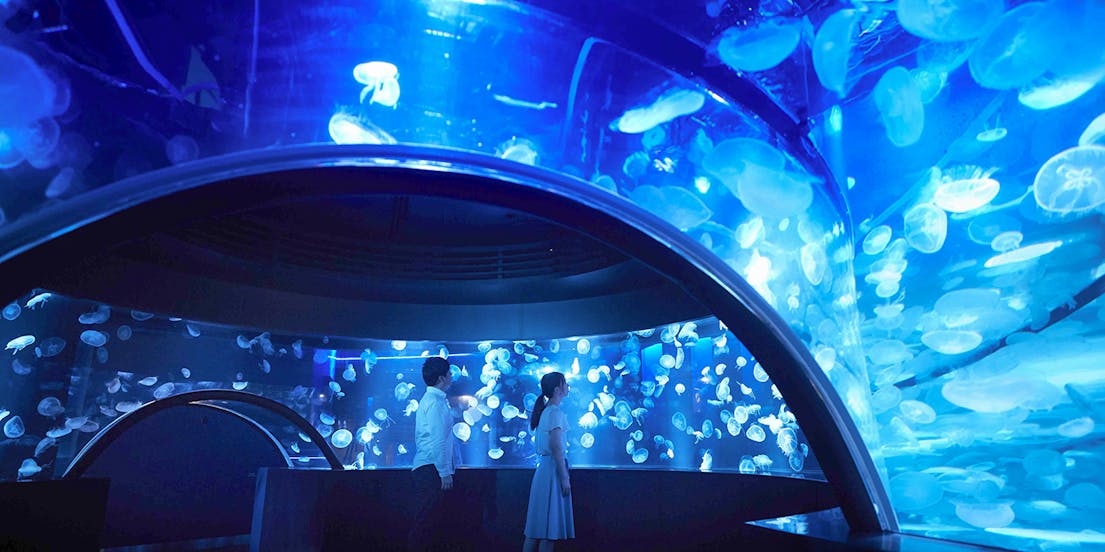 Kyoto Aquarium