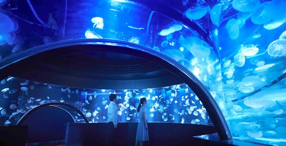 Kyoto Aquarium