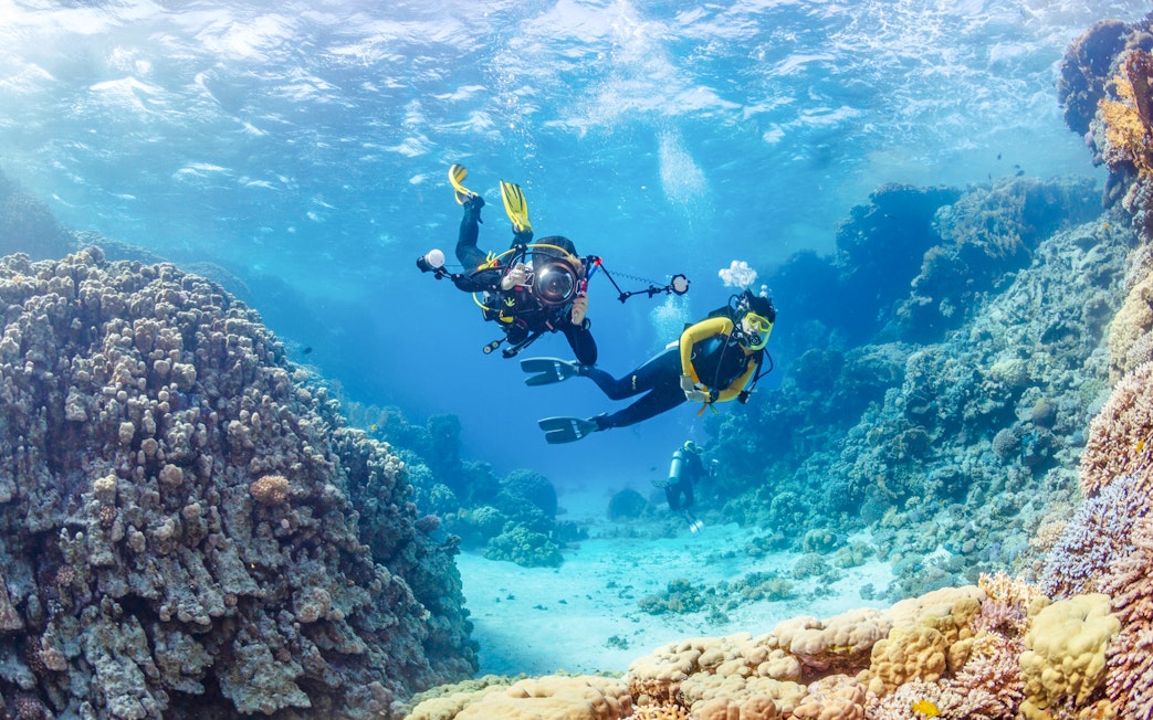 Scuba divers exploring coral reefs in the Red Sea at White Island, Sharm El-Sheikh.