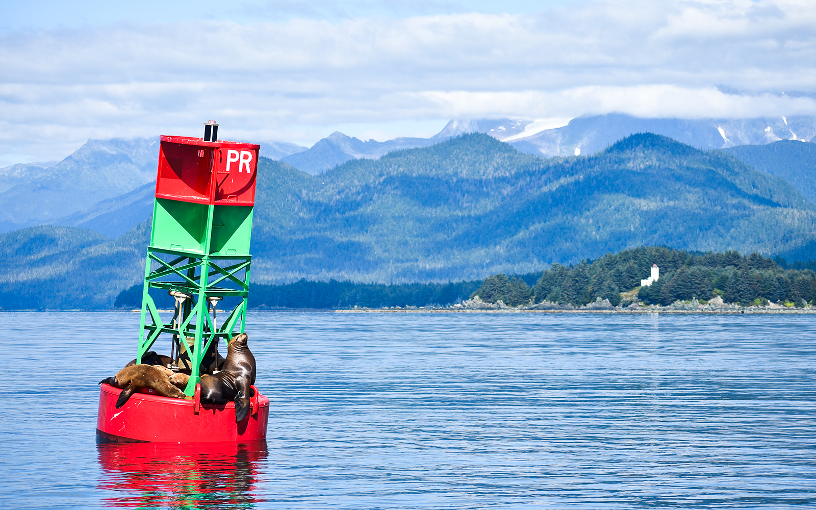 Sea lions resting on a buoy in Juneau with mountains in the background.