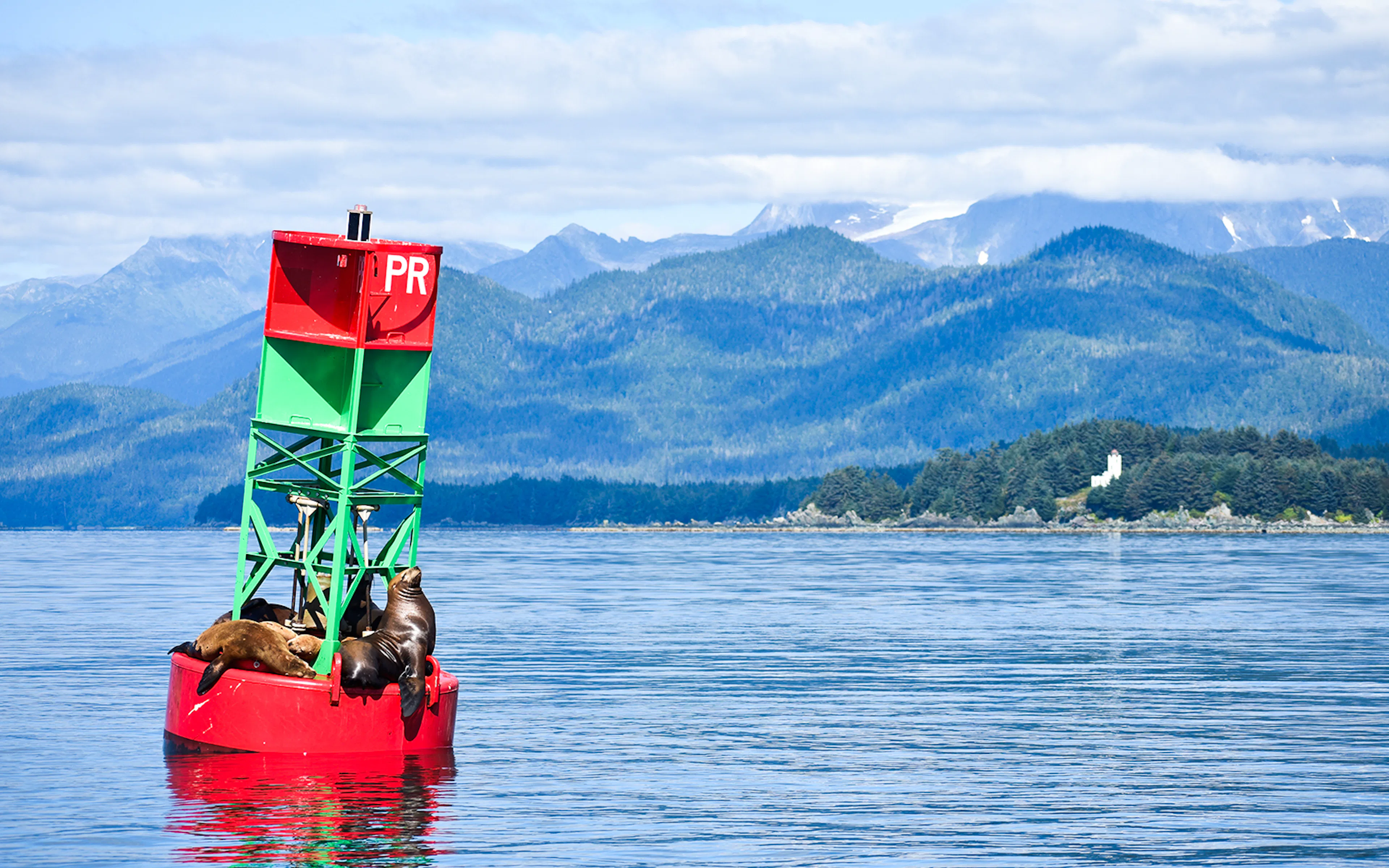 Sea lions resting on a buoy in Juneau with mountains in the background.
