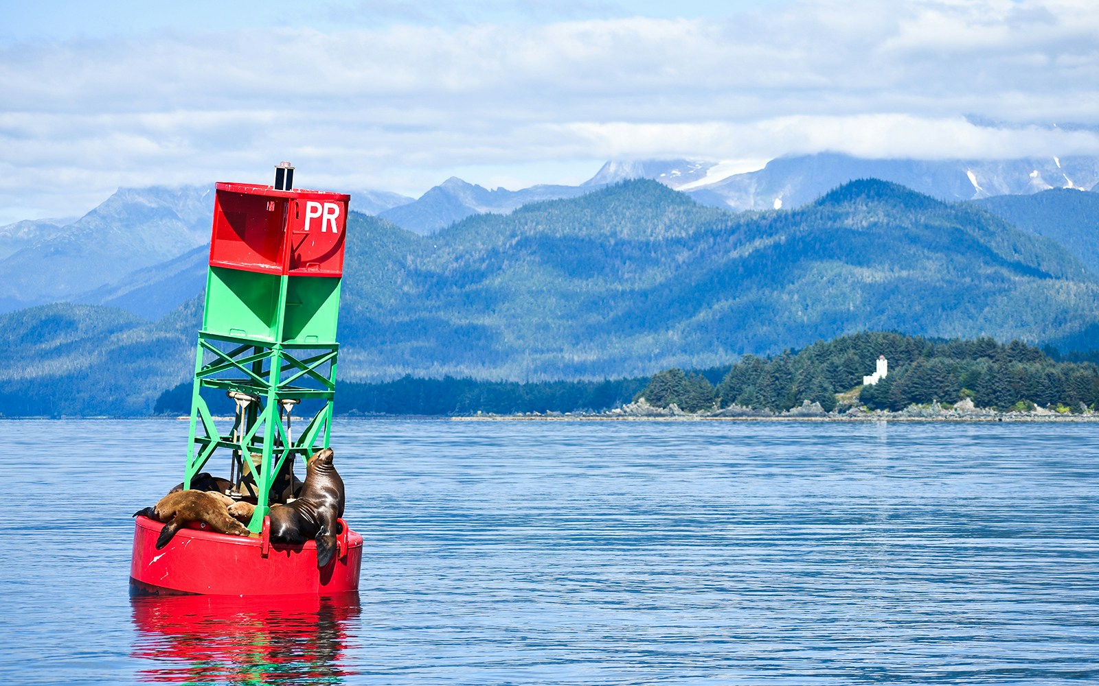 Sea lions resting on a buoy in Juneau with mountains in the background.