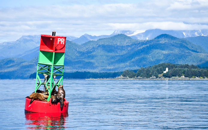 Sea lions resting on a buoy in Juneau with mountains in the background.
