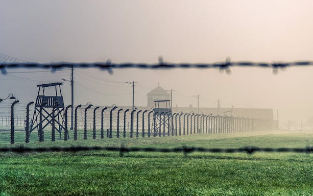 Auschwitz-Birkenau fence and watchtower in misty landscape.