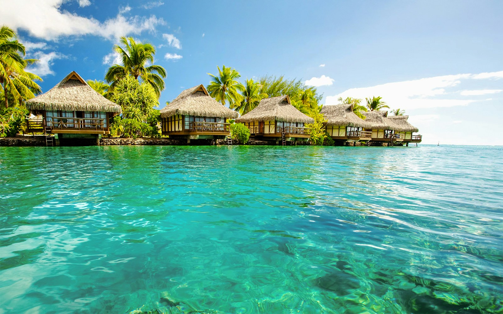 Bimini Bahamas beach with turquoise waters and palm trees.