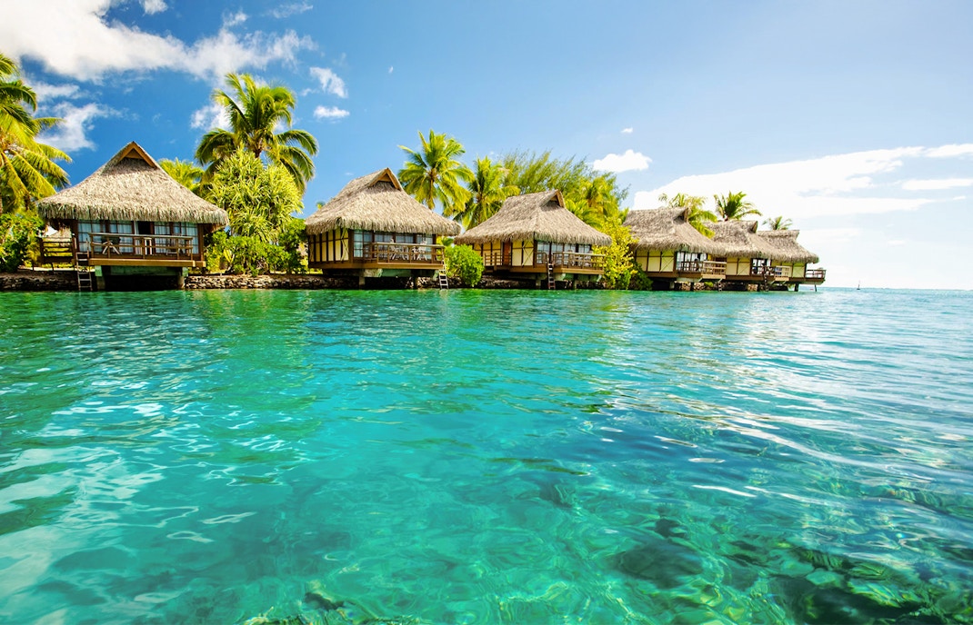 Bimini Bahamas beach with turquoise waters and palm trees.
