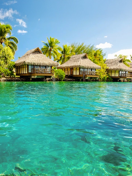 Overwater bungalows with thatched roofs in Bimini, Bahamas, surrounded by clear blue water.