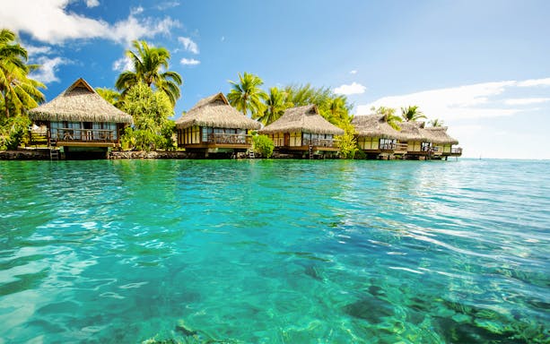 Bimini Bahamas beach with turquoise waters and palm trees.