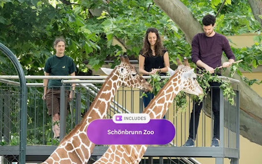 Visitors feeding giraffes from platform at Schönbrunn Zoo, Vienna.