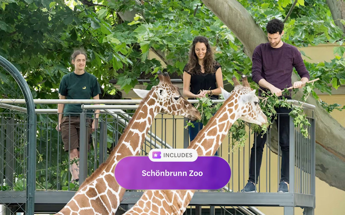 Visitors feeding giraffes from platform at Schönbrunn Zoo, Vienna.