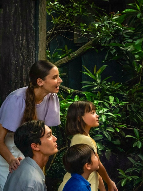Family observing a Sunda Pangolin on the Fishing Cat Trail amidst lush greenery.
