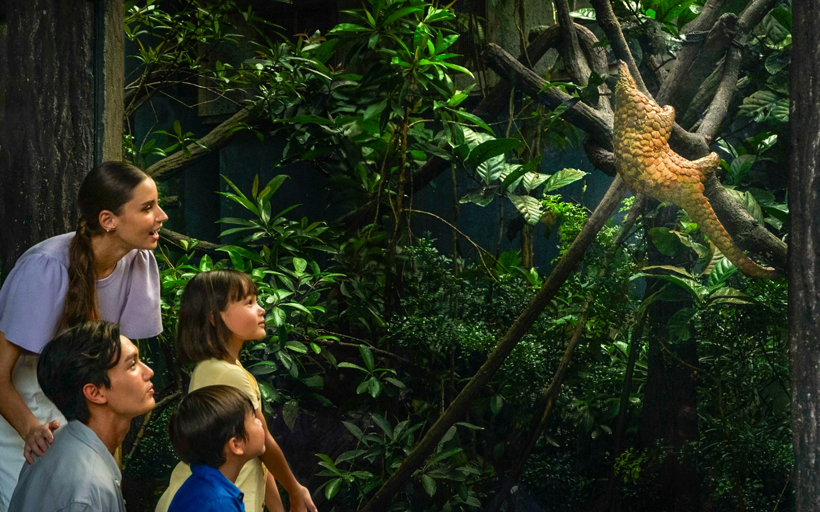 Family observing a Sunda Pangolin on the Fishing Cat Trail amidst lush greenery.