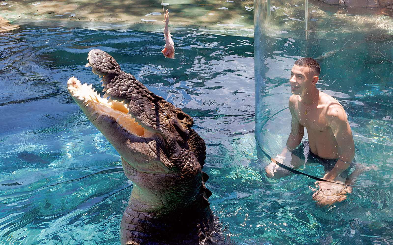 Man in clear enclosure with large crocodile at Crocosaurus Cove's Cage of Death, Darwin.