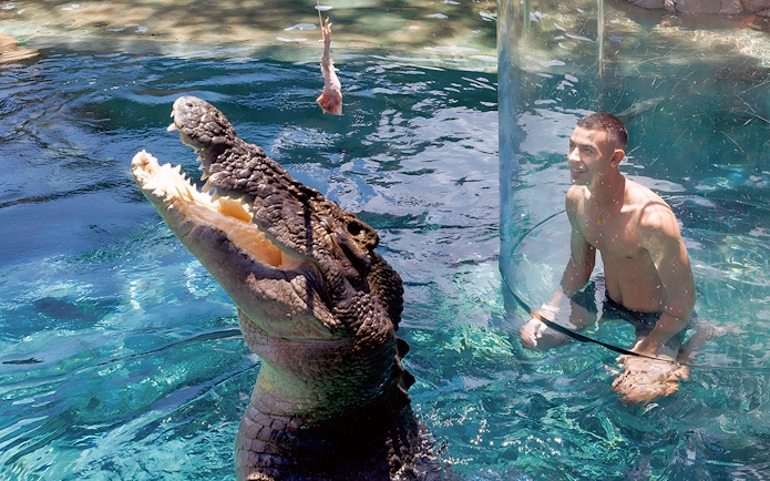 Man in clear enclosure with large crocodile at Crocosaurus Cove's Cage of Death, Darwin.