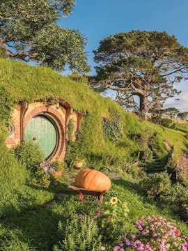 Hobbiton Movie Set with round door and lush greenery in Auckland.