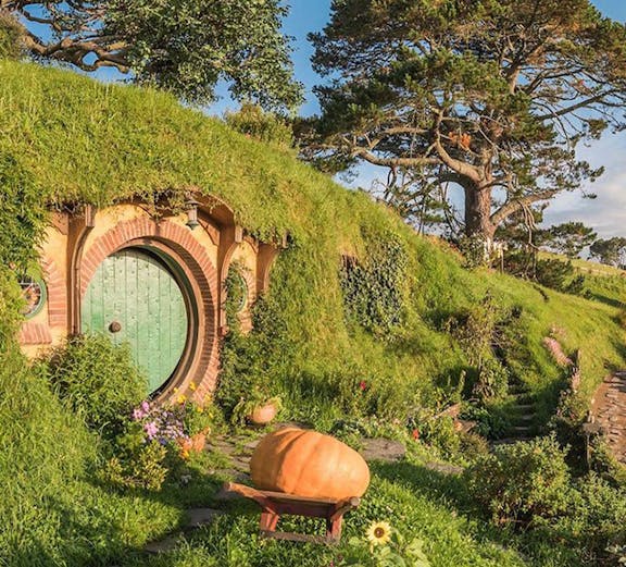 Hobbiton Movie Set with round door and lush greenery in Auckland.