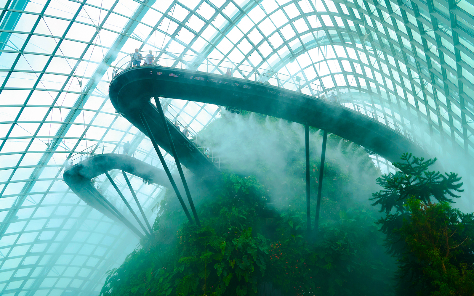 Elevated walkway in Singapore's Cloud Forest with lush greenery and mist.