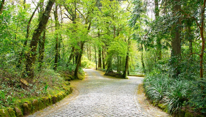 Pena Palace Park