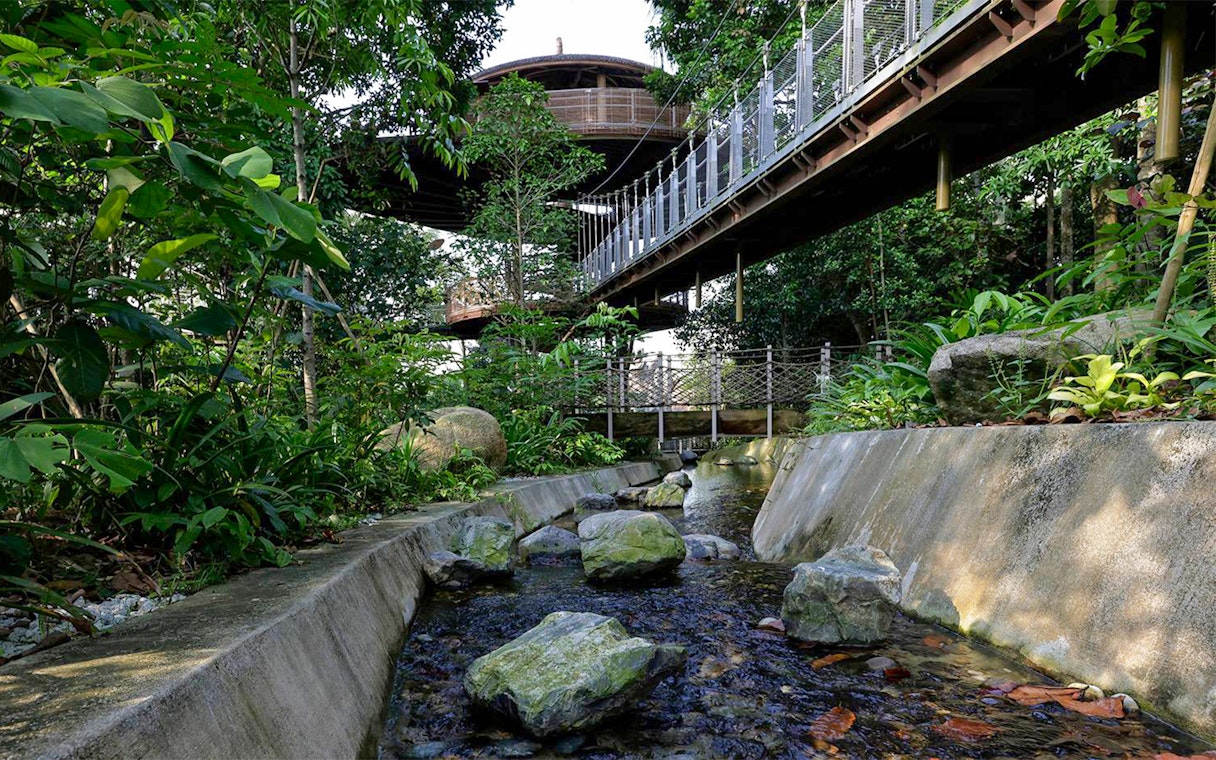 Elevated walkway through lush greenery at Bird Paradise, Singapore.