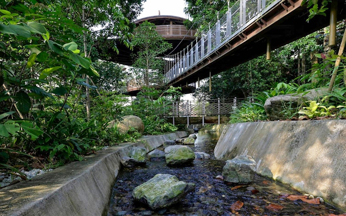 Elevated walkway through lush greenery at Bird Paradise, Singapore.