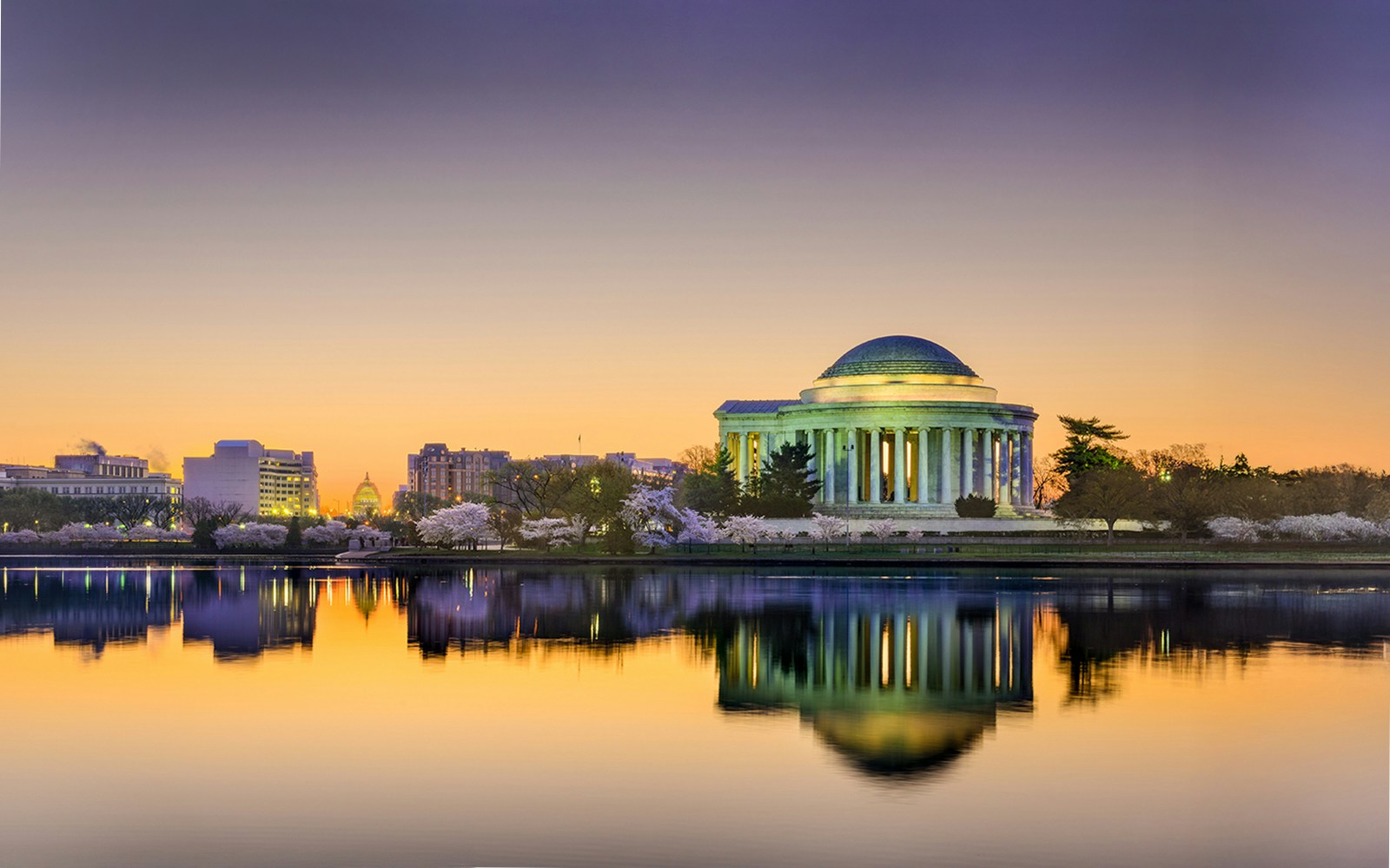 Jefferson Memorial at sunrise with cherry blossoms, Tidal Basin, Washington DC, USA.