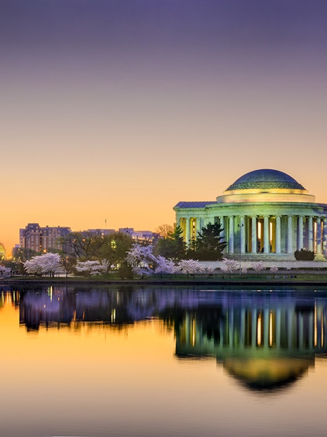 Jefferson Memorial at sunrise with cherry blossoms, Tidal Basin, Washington DC, USA.