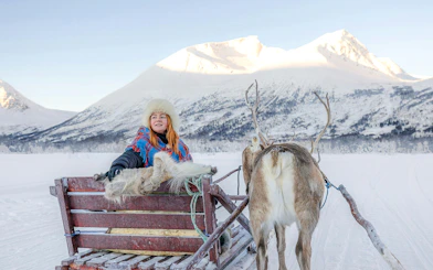Reindeer Sledding & Sami Culture Guided Tour with Hot Drinks & Meal