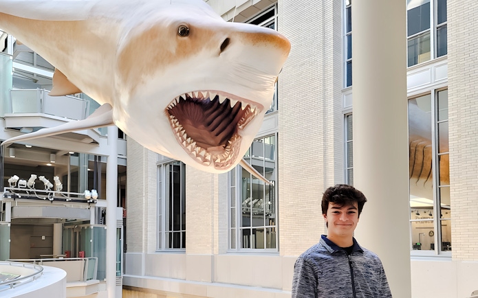Giant shark model at Smithsonian National Museum of Natural History.