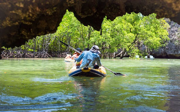 Kayakers paddling through mangroves in Phang Nga Bay, Thailand.