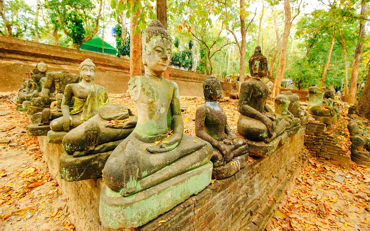 Ancient stone Buddha statues among trees and fallen leaves near Chiang Mai.