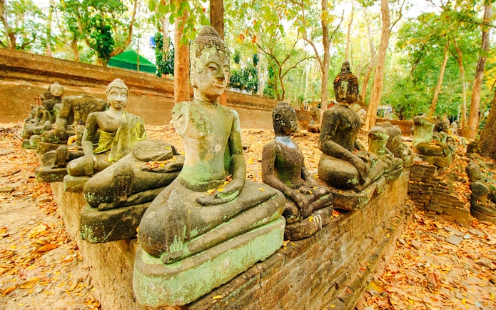 Ancient stone Buddha statues among trees and fallen leaves near Chiang Mai.