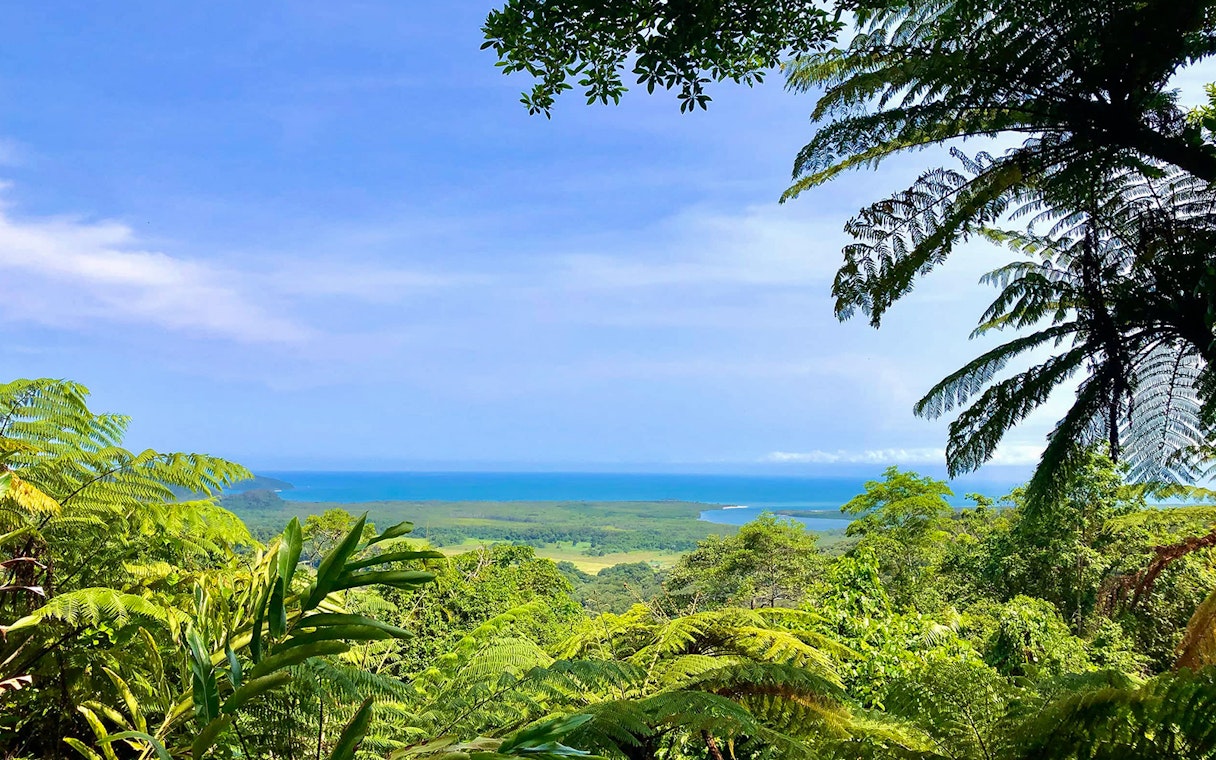 Lush rainforest view with ocean backdrop on Half-Day Waterfall Wanderers Tour, Queensland.