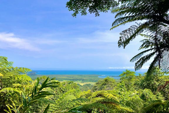 half-day waterfall wanderers tour in queensland-7