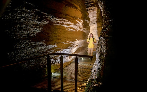 Tourist walking through illuminated Te Anau Glowworm Caves on guided tour.