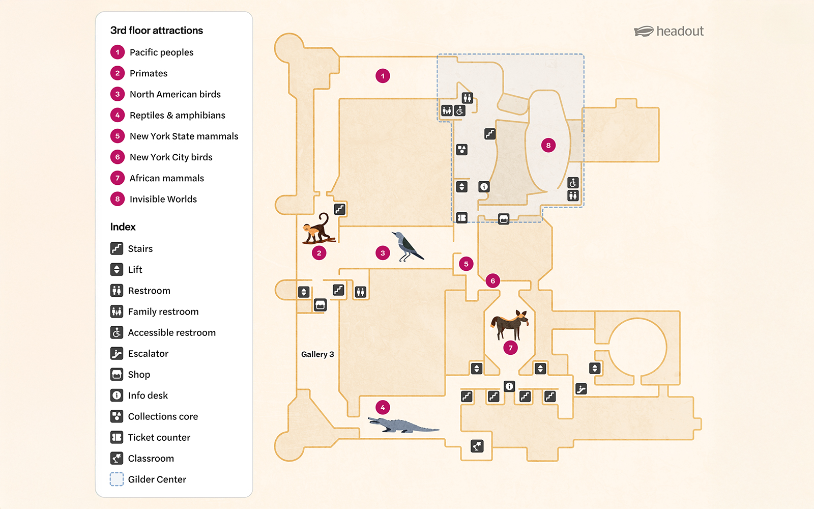 3rd Floor map of American Museum of Natural History, New York, showing exhibit locations.