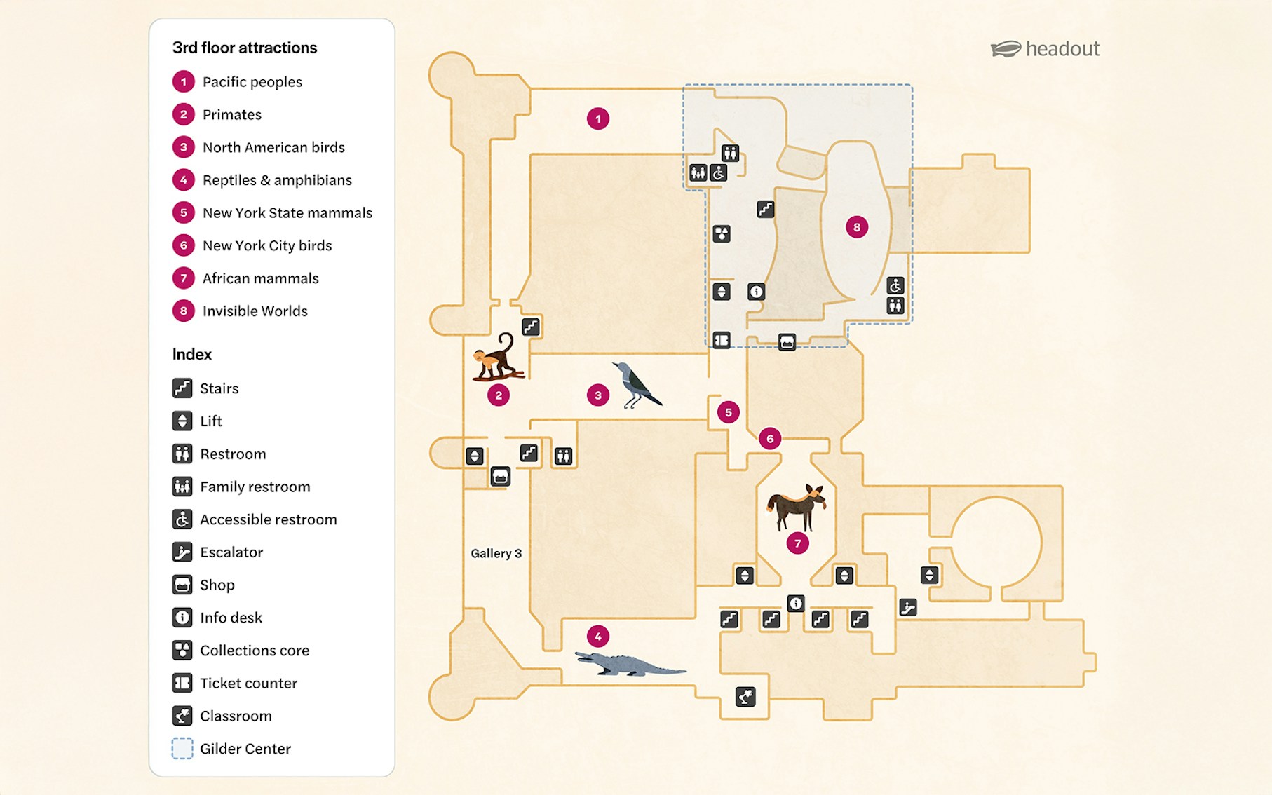 3rd Floor map of American Museum of Natural History, New York, showing exhibit locations.