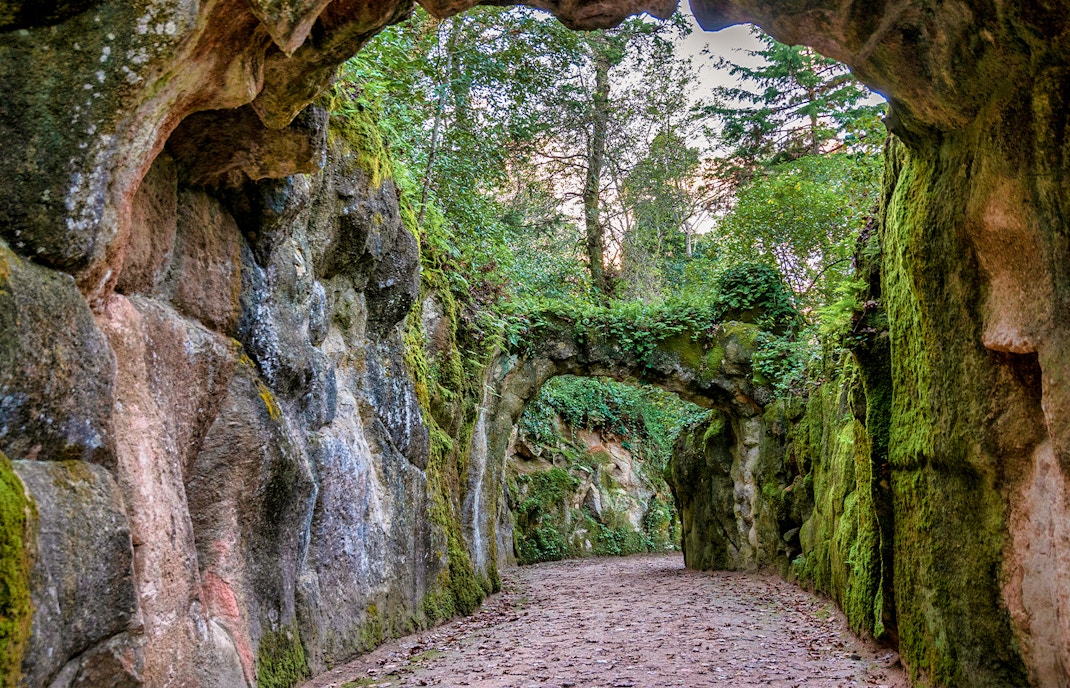 Quinta da Regaleira garden pathway with lush greenery in Sintra, Portugal.