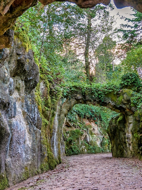 Quinta da Regaleira garden pathway with stone arch and lush greenery.