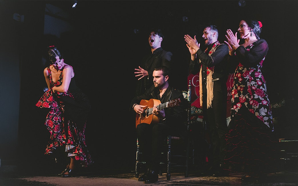 Flamenco performers on stage at Casa AnaFlamenco Show, featuring a guitarist and dancers.