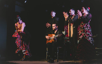Flamenco performers on stage at Casa AnaFlamenco Show, featuring a guitarist and dancers.