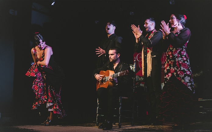 Flamenco performers on stage at Casa AnaFlamenco Show, featuring a guitarist and dancers.