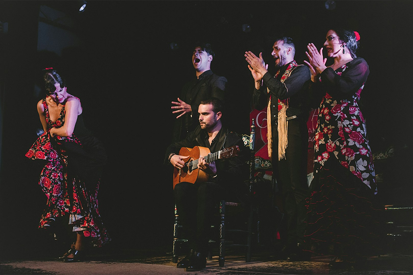 Flamenco performers on stage at Casa AnaFlamenco Show, featuring a guitarist and dancers.