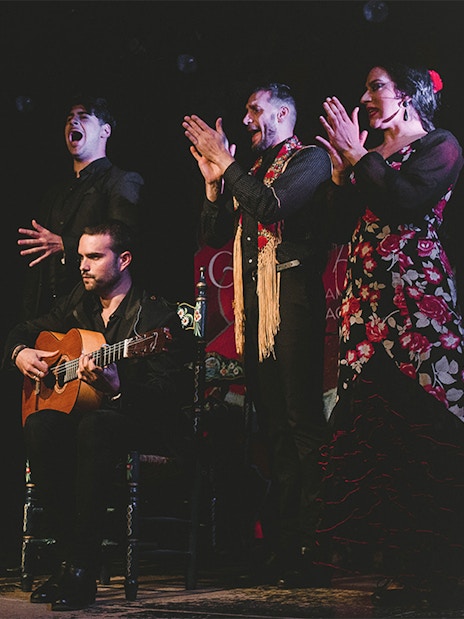 Flamenco performers on stage at Casa AnaFlamenco Show, featuring a guitarist and dancers.