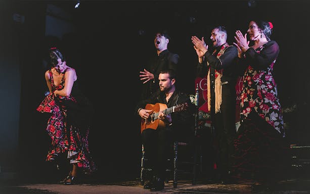 Flamenco performers on stage at Casa AnaFlamenco Show, featuring a guitarist and dancers.
