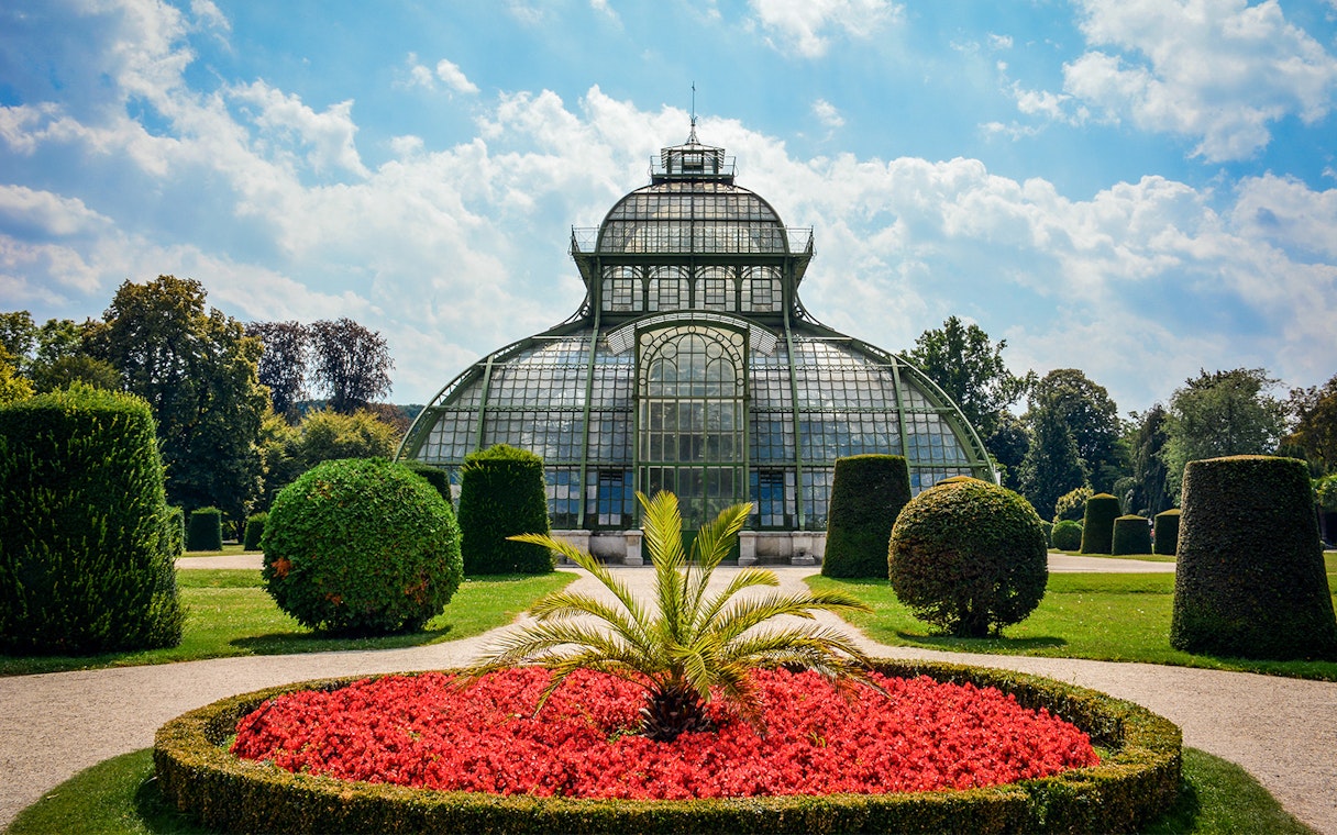 Glasshouse in Schönbrunn Palace Gardens, Vienna, surrounded by manicured hedges and vibrant flowers.