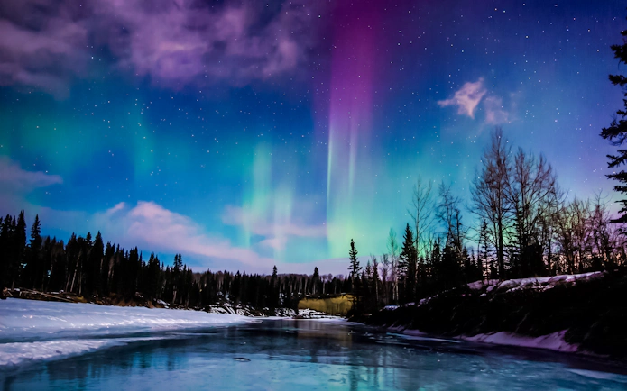 Northern Lights over snowy landscape near Chena Hot Springs, Alaska.
